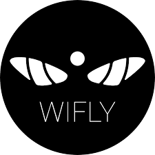 Лучшие практики и дизайн форм сбора данных онлайн Лучшие практики и дизайн форм сбора данных онлайн